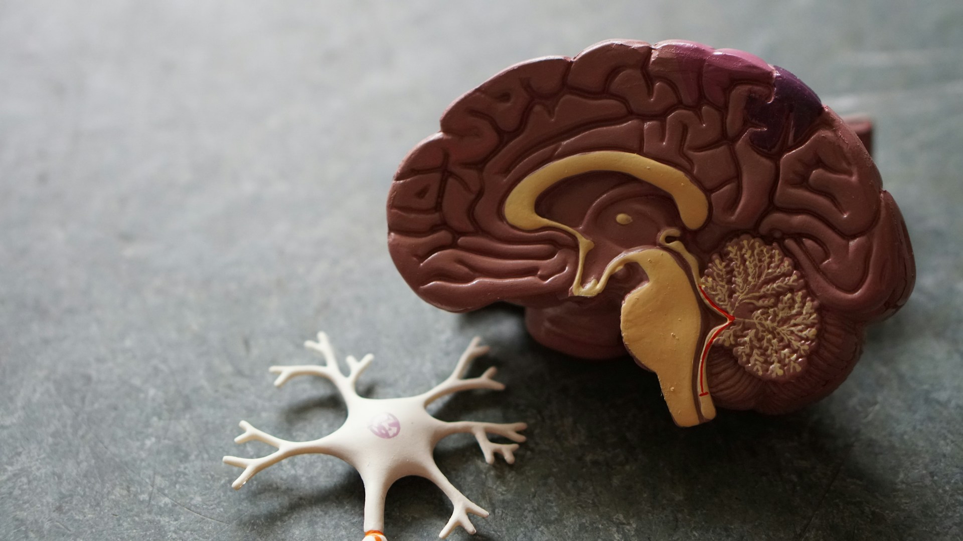 Un futuro predecible: La IA contra el Alzheimer