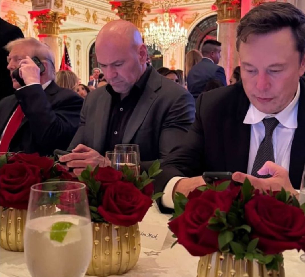 Elon Musk: el gran beneficiario de la victoria de Trump