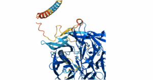 Visualización de la estructura tridimensional de una proteína, predicha por la inteligencia artificial AlphaFold. Programas como este permiten a los científicos 'ver' la forma compleja que adoptan las proteínas (mostrando aquí hélices en espiral y láminas planas), lo cual es fundamental para entender cómo realizan sus funciones vitales en nuestro organismo. Fuente: Base de datos de estructura de proteínas AlphaFold Desarrollado por Google DeepMind y EMBL-EBI