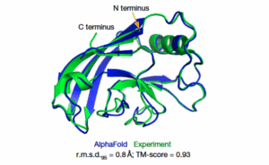 Comparación entre la estructura proteica predicha por AlphaFold (azul) y la determinada experimentalmente (verde), mostrando una alta concordancia. Fuente: Highly accurate protein structure prediction with AlphaFold John Jumper, Richard Evans , Alexander Pritzel y otros.