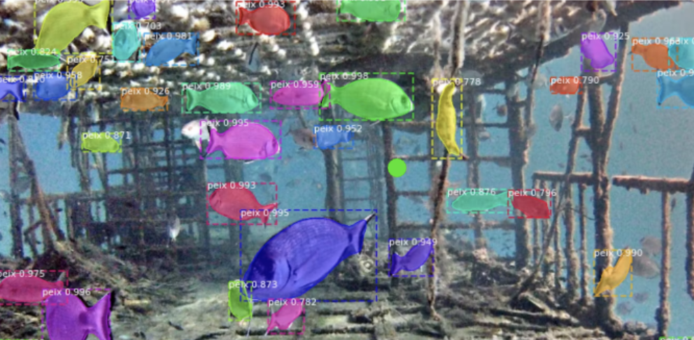 IA y robots submarinos: iluminando los secretos de los arrecifes vírgenes